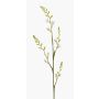 Konstblomma montbretia KATHERYN, krämfärgad, 90cm