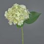 Konstblomma hortensia CALESA, vit-grön, 50cm, Ø15cm