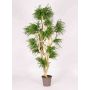 Konstgjord Abelia DIMYTRO med naturstammar, crossdoor, grön, 185cm - Tillverkad i Italien