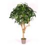Dekorativ Schefflera SOLIDA, äkta stam, grön, 175cm - Tillverkad i Italien