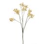 Konstgjord slöjblomma LITAGO, torkad look, beige, 70cm, Ø1,5cm
