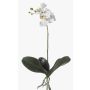 Konstgjord Phalaenopsis-orkidé FAO på pinne, vit, 45cm