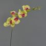 Konstgjord gren med Phalaenopsis-orkidé DAJANA, gul-cerise, 80cm, Ø6-11cm
