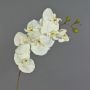 Dekorativ konstgjord Phalaenopsis-orkidé RICKY, krämfärgad, 95cm, Ø7-11cm