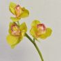 Konstgjord blomkvist, Cymbidium-orkidé SERAPHINA, grön-rosa, 45cm, Ø10-13cm