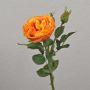 Konstgjord kålros OLIVERA, orange, 30cm, Ø9cm