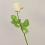 Konstgjord ros OPHELIE, krämrosa, 85cm, Ø7cm