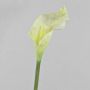 Konstgjord calla CRISTINA, vit-grön, 100cm, 13x23cm