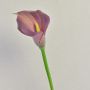 Konstgjord zantedeschia TALEA, violett, 65cm, 9x11cm