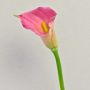 Konstgjord zantedeschia TALEA, cerise-gul, 65cm, 9x11cm