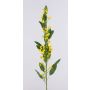 Konstgjord Euphorbia fulgens FILIPPE med blommor, gul, 105cm