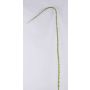 Dekorativ ros med taggig gren ALOISA, grönbrun, 180cm
