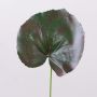 Konstgjord pelargonblad HEIDEGARD, grön-röd, 38cm, Ø14cm