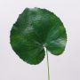 Konstgjorda pelargonblad HEIDEGARD, gröna, 38cm, Ø14cm