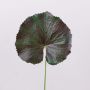 Konstgjorda pelargonblad HEIDEGARD, grön-röd, 38cm, Ø13cm