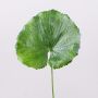 Konstgjord pelargonblad HEIDEGARD, grön, 38cm, Ø13cm