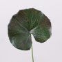 Konstgjorda pelargonblad HEIDEGARD, grön-röd, 38cm, Ø11cm