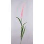 Konstgjort lampstädargräs LEBRERO med ax, rosa, 175cm