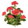 Dekorativ blomma, pelargon DOLKREN, stickpinne, crossdoor, röd, 40cm