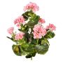 Dekorativ blomma, pelargon DOLKREN, stickpinne, crossdoor, rosa, 40cm