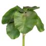 Dekorationsblad, näckros LIRVA, 5 st, grönt, 27cm
