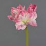 Konstblomma Amaryllis GRILVE, cerise-vit, 60cm, Ø7-14cm