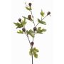 Dekorativ kvist fikon PROWER med frukter, grön, 90cm