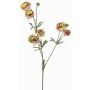 Konstgjord ranunkel YARIS, grön-cerise, 65cm, Ø3-4,5cm