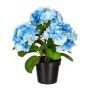 Dekorativ hortensia SLORFIN i svart dekorativ kruka, blå, 30cm