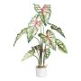 Dekorationsväxt Caladium GRUHON, melamin-överkruka, grön-röd, 100cm