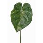 Konstblad Anthurium LUVINA, grönt, 65cm