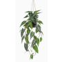 Konstväxt Alocasia Sanderiana hängkruka URCO, dekorativ kruka, grön-vit, 80cm