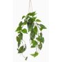 Konstväxt Philodendron Scandens hängande växt URCO, dekorativ kruka, 80cm