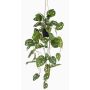 Konstväxt Philodendron Monstera adansonii hängande kruka URCO, dekorativ kruka, 80cm