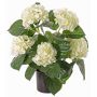 Konstblomma hortensia TEMARI, krämfärgad, 40cm, Ø10-12cm