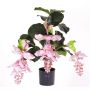 Konstblomma medinilla LAILANI, rosa, 80cm, Ø20cm
