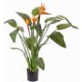 Konstblomma strelitzia DALILA, orange-violett, 110cm, 17x22cm