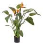Konstblomma strelitzia DALILA, orange-violett, 110cm, 17x22cm