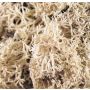 Naturligt islandmossa FINNBJÖRN, natur, 50g