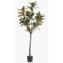 Konstgjord Yulan-magnoliaträd BELLITA, konststam, grön-olivgrön, 150cm