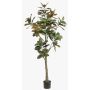 Konstgjord Yulan-magnoliaträd BELLITA, konststam, grön-olivgrön, 180cm