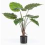 Konstgjord växt Alocasia Calidora FAYOR, grön, 70cm