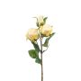 Konstgjord rosgren FREYDE, krämfärgad, 45cm, Ø4-5cm