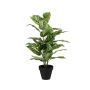 Konstgjord växt Dieffenbachia ELSAWA i dekorativ kruka, grön, 65cm