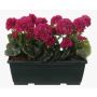 Konstgjorda pelargoner FLOREANA i blomlåda, 3 st, vinröd, 40x15x35cm
