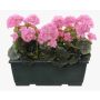 Konstgjorda pelargoner FLOREANA i blomlåda, 3 st, lila, 40x15x35cm