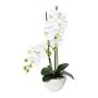 Textil Phalaenopsis-orkidé DINKA i keramikskål, rötter, vit, 50cm