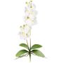 Textil Phalaenopsis-orkidé MORLEK, stickpinne, rötter, krämfärgad, 60cm