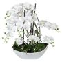 Konstgjord orkidé, korkskruvspal, blomsterarrangemang TANIN, keramikskål, rötter, vit, 70cm