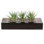 Konstgjord suckulent Aloe variegata FRONZ i trälåda, grön-vit, 36x15,5x16cm